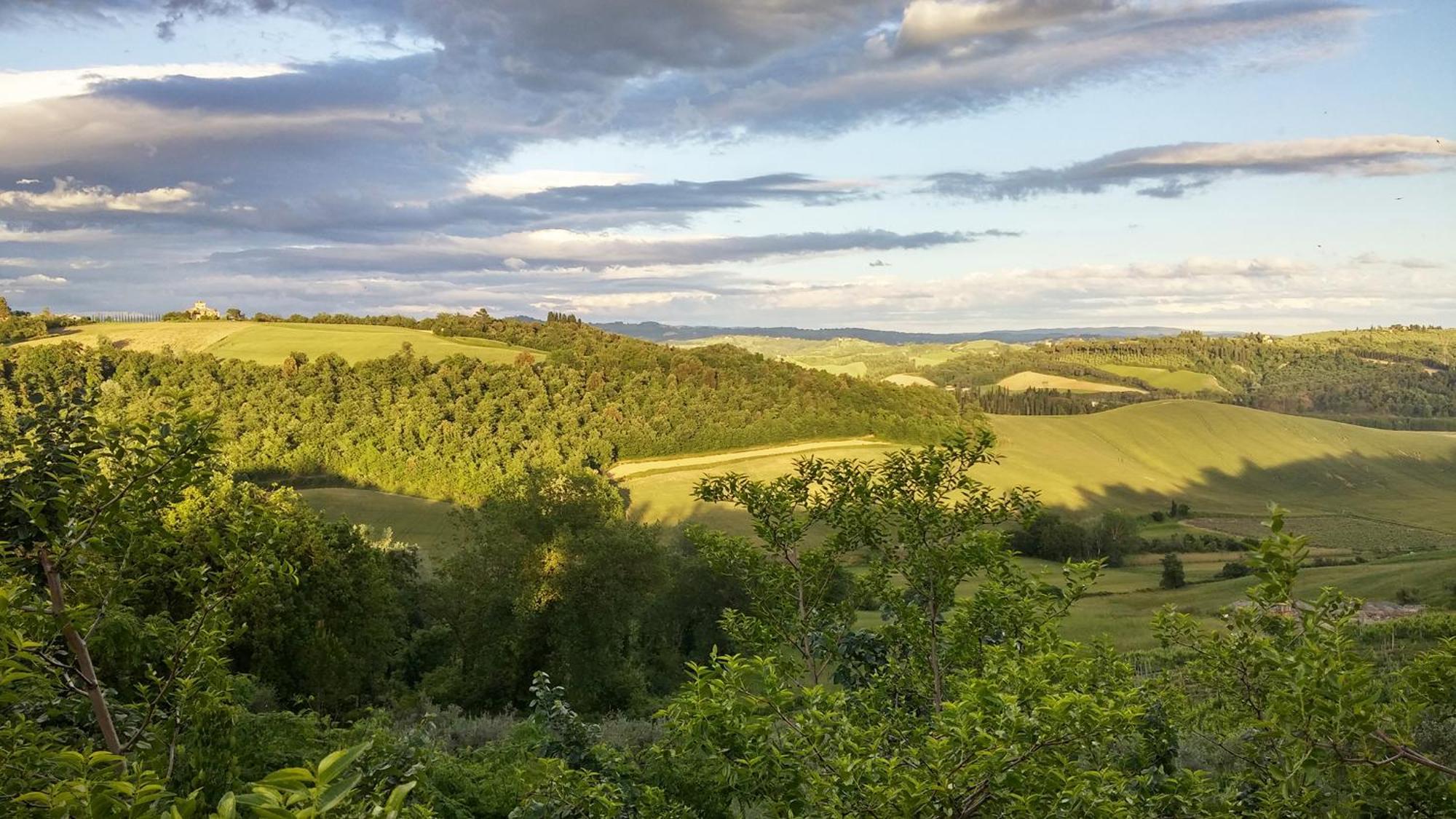 Il Granaio Villa Castelfiorentino Kültér fotó